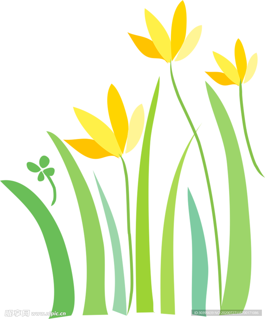 鲜花素材