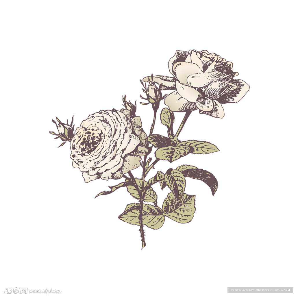 鲜花素材