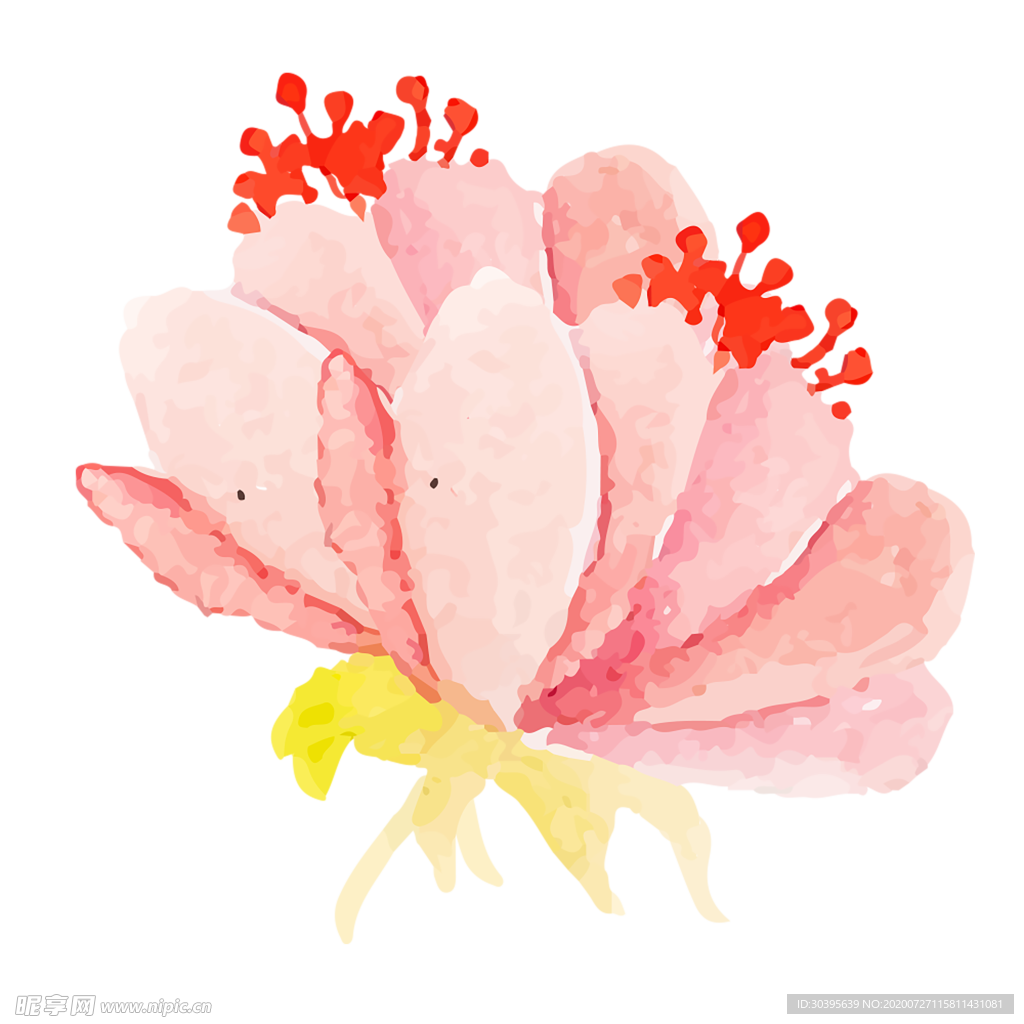 鲜花素材