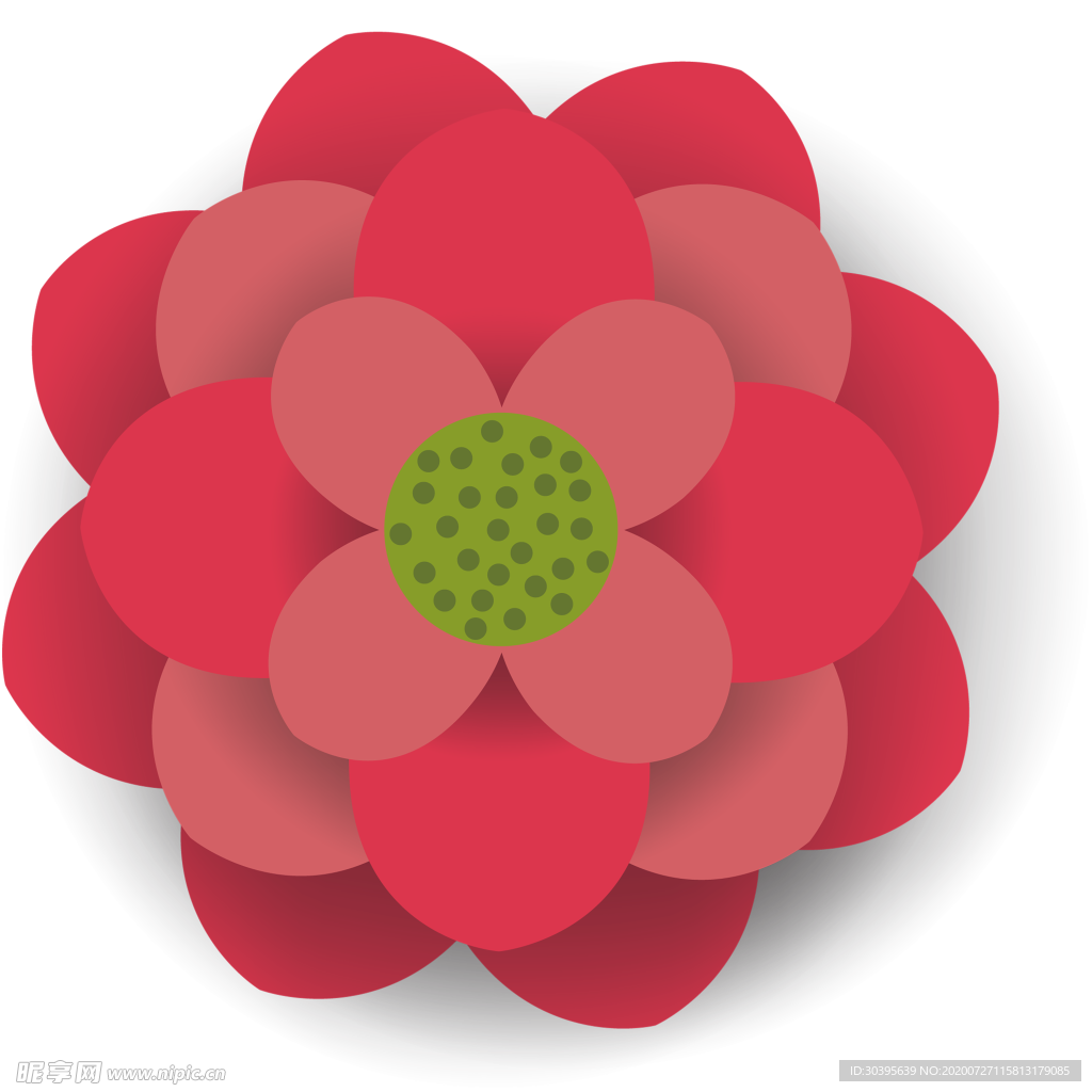 鲜花素材