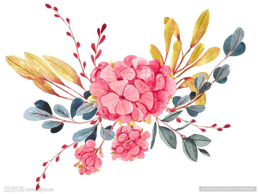 鲜花素材