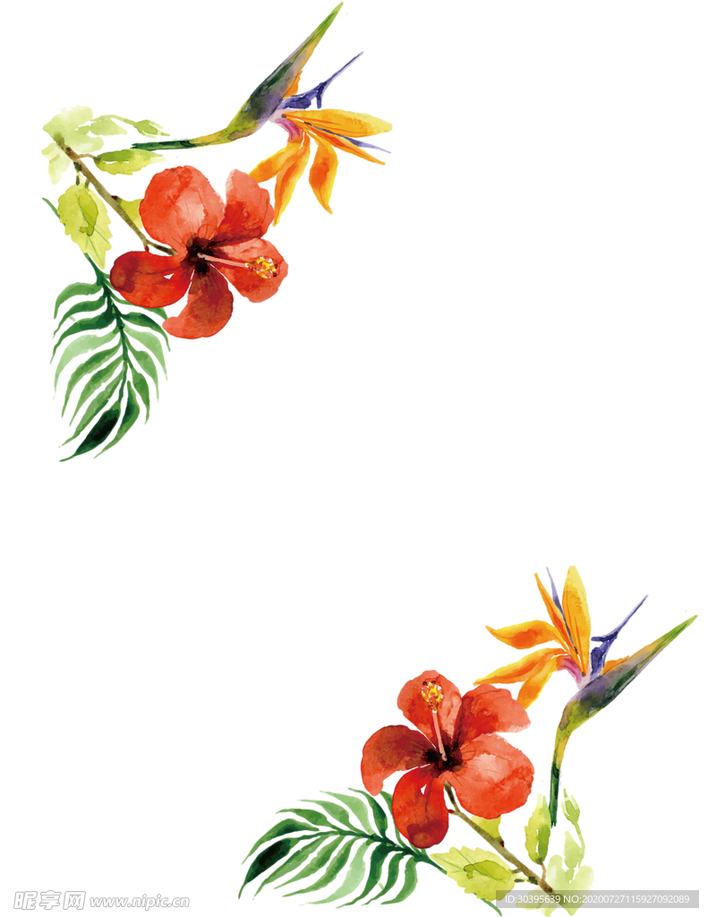 鲜花素材