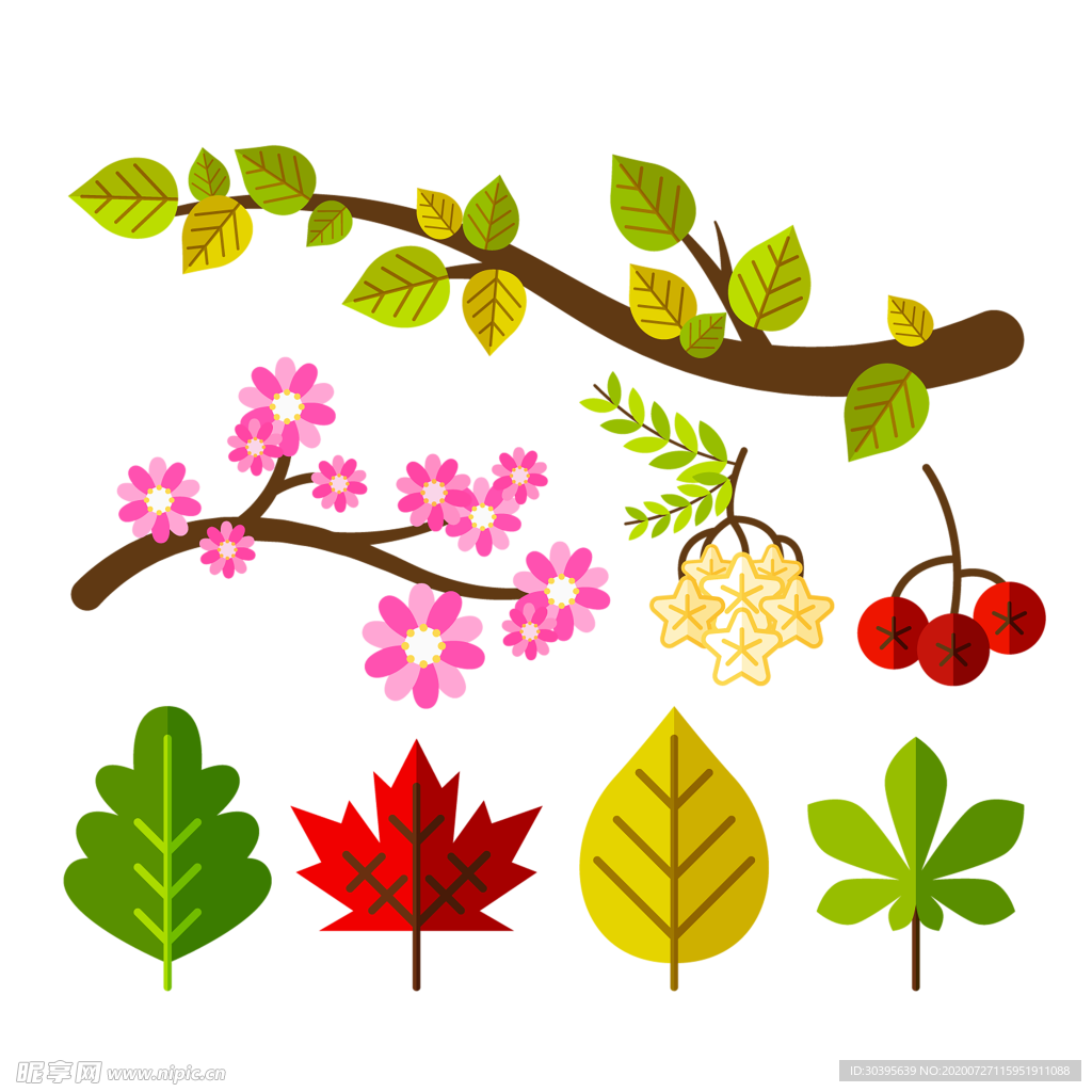 鲜花素材