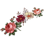 鲜花素材