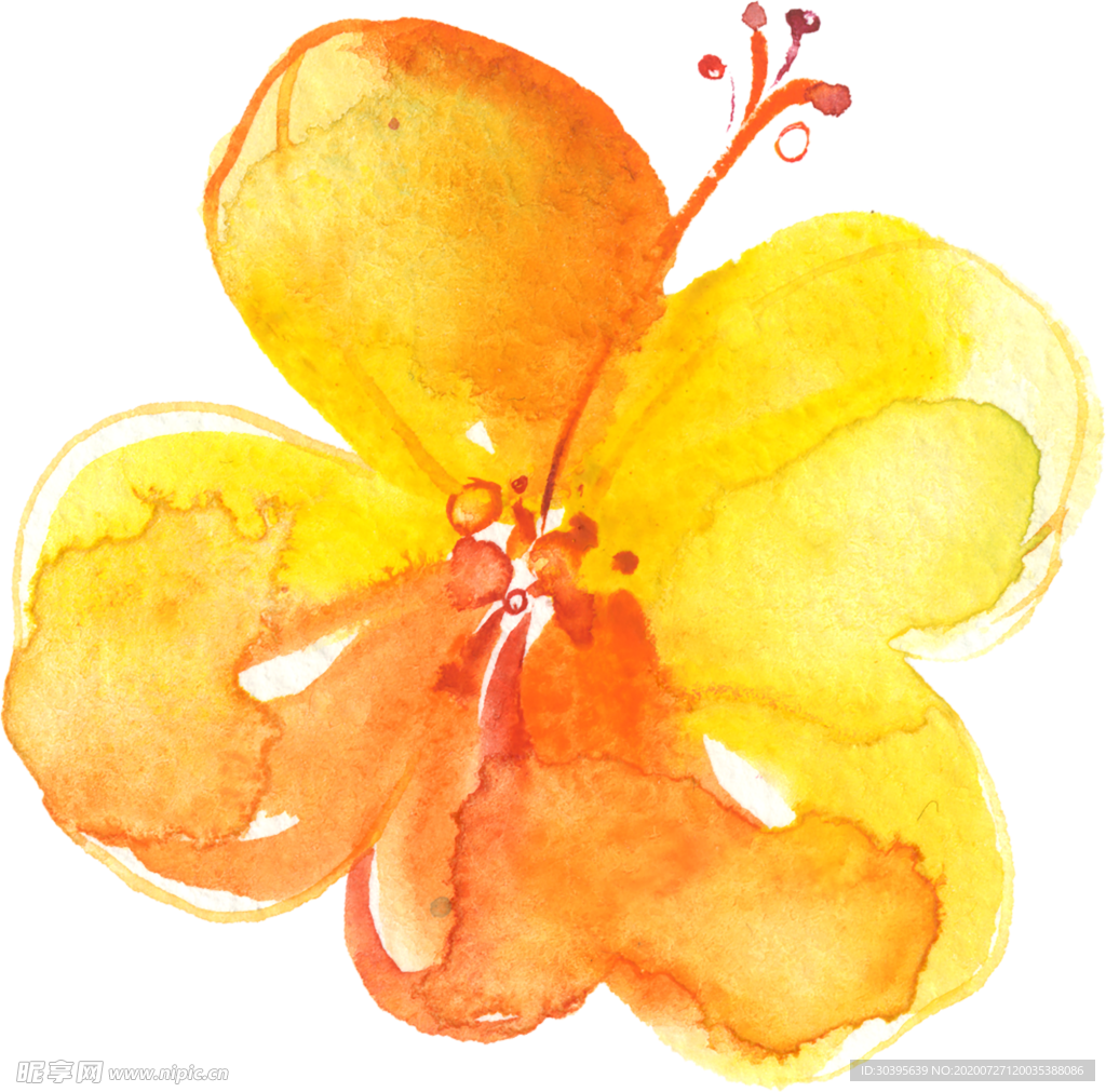 鲜花素材