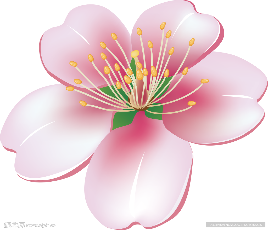 鲜花素材
