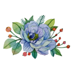 鲜花素材