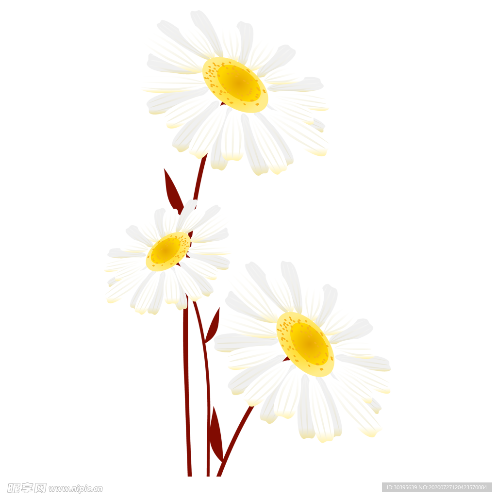 鲜花素材