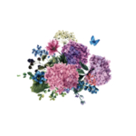 鲜花素材