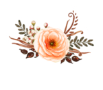 鲜花素材