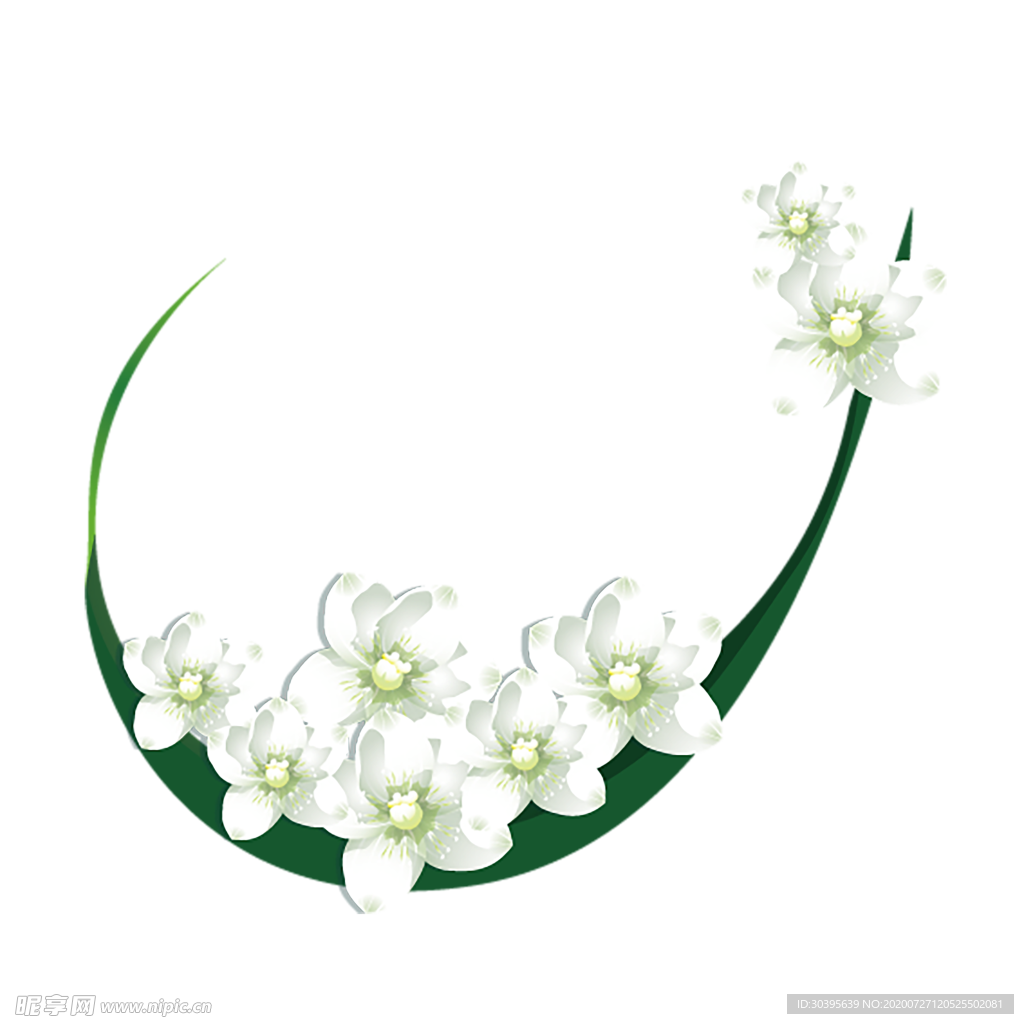 鲜花素材