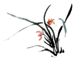 鲜花素材