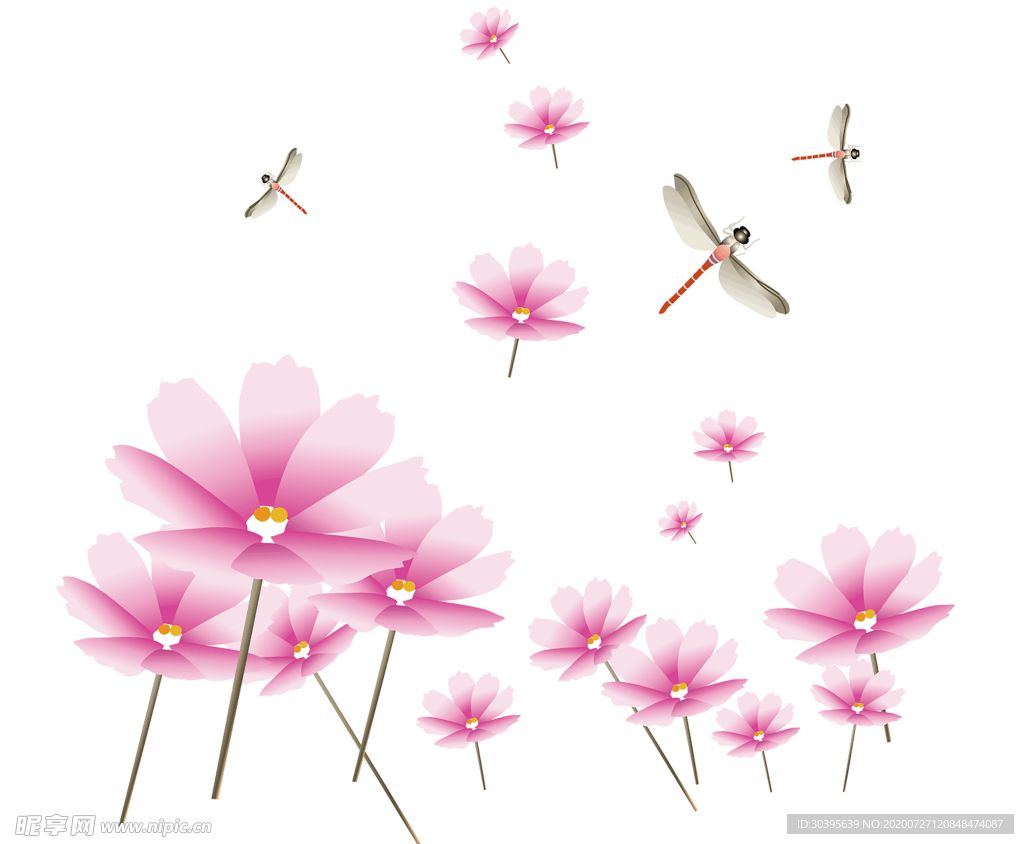 鲜花素材