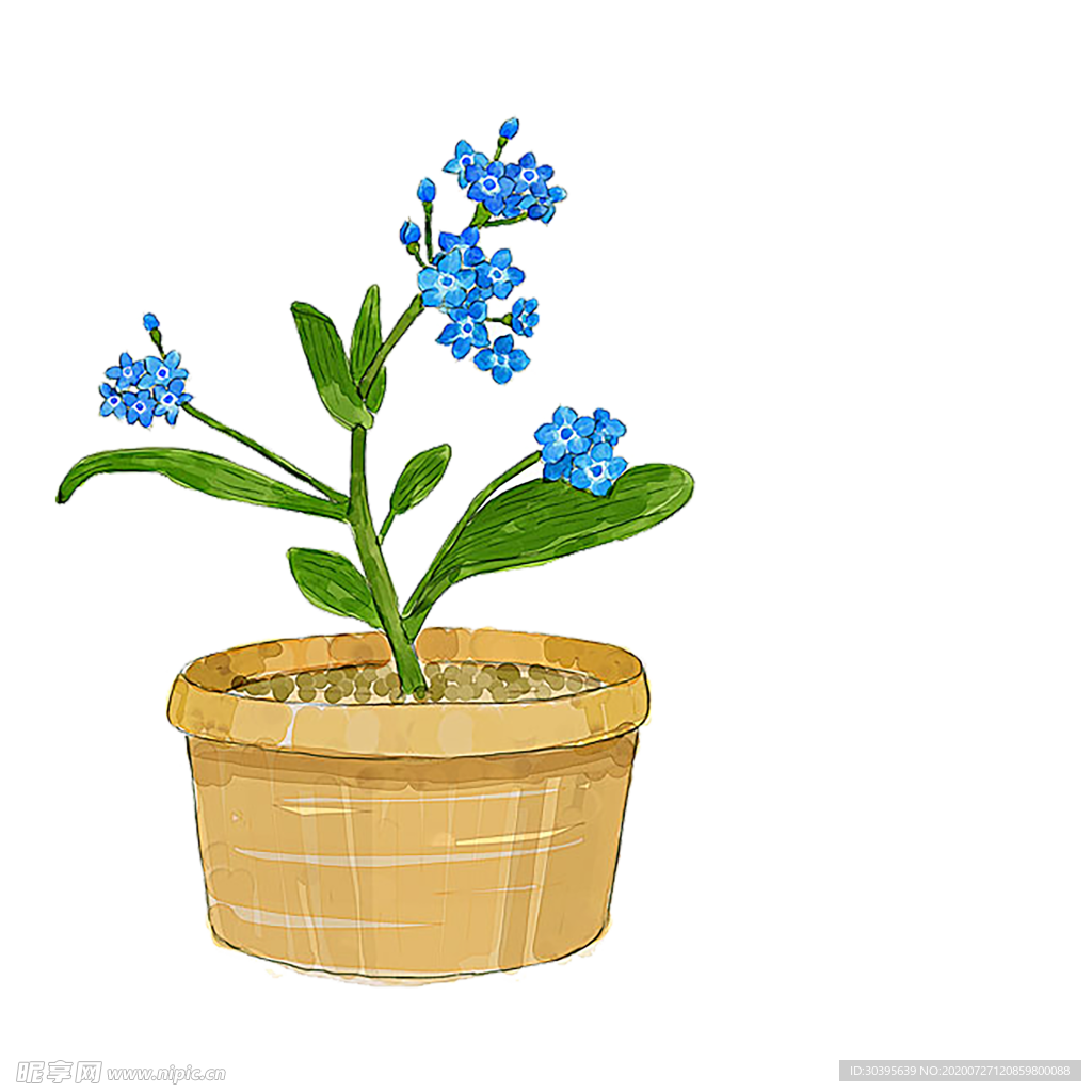 鲜花素材