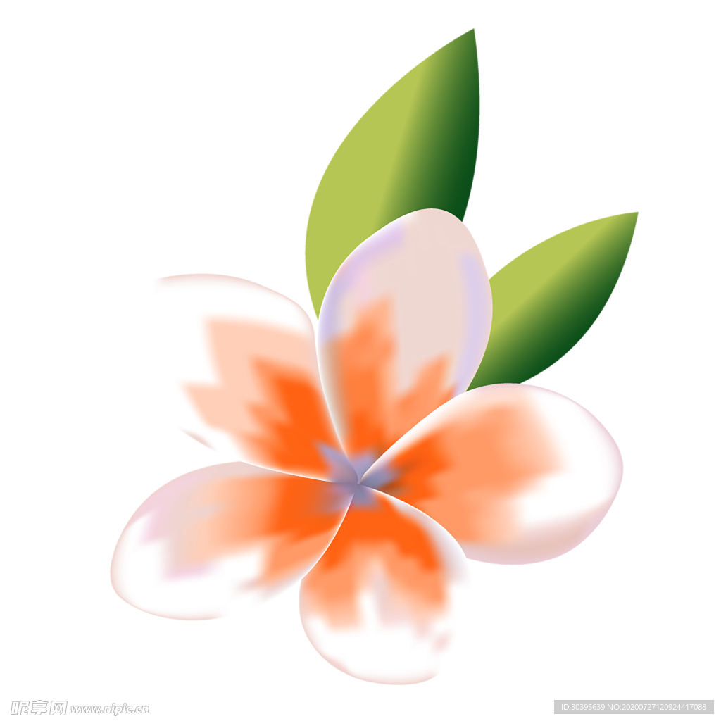 鲜花素材