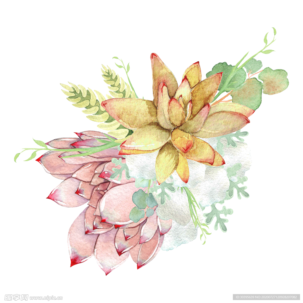 鲜花素材