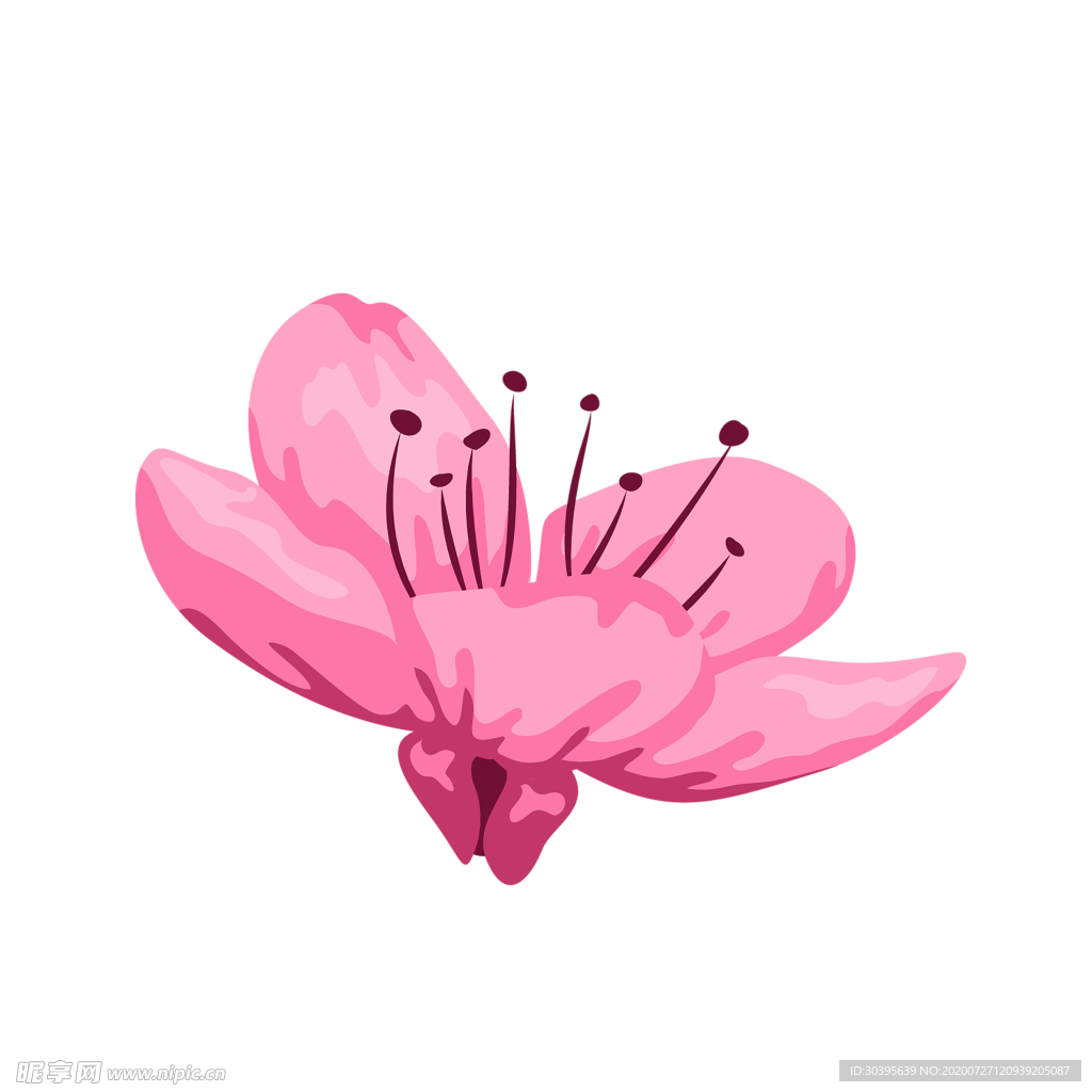 鲜花素材