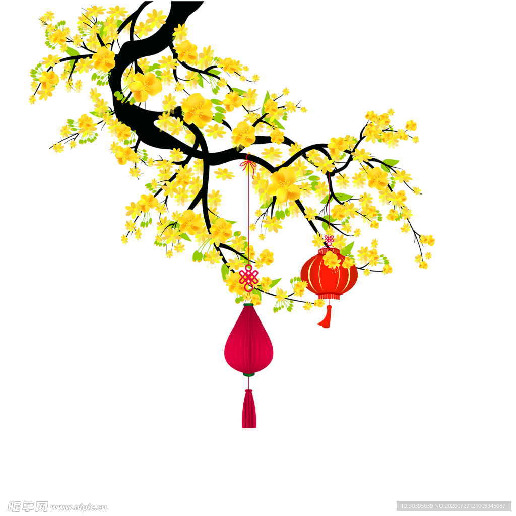 鲜花素材