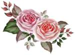 鲜花素材