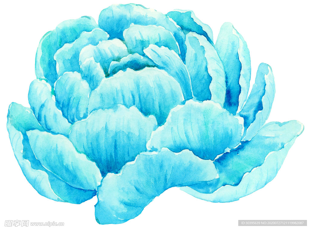 鲜花素材
