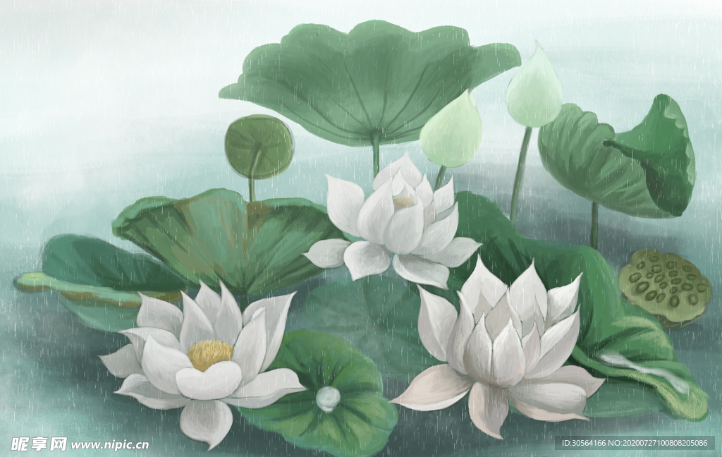 荷花传统古风插画背景海报素材
