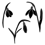 花朵剪影