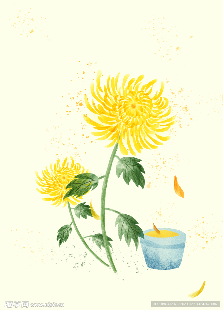 菊花包装