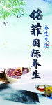 国际养生