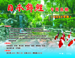 鱼粮