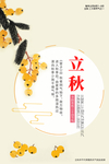 立秋