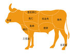 牛肉剖析图