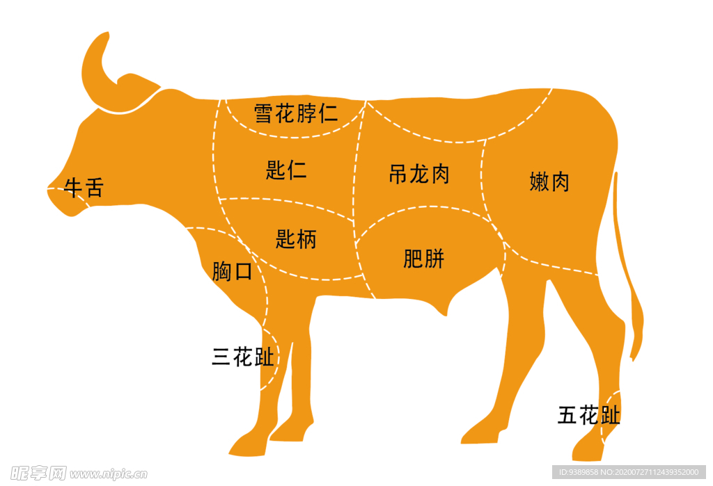 牛肉剖析图