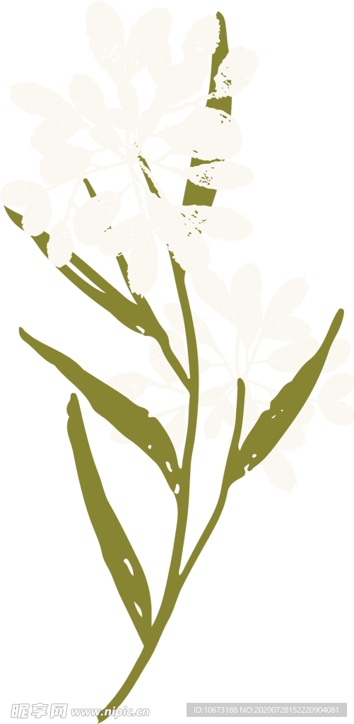 手绘植物