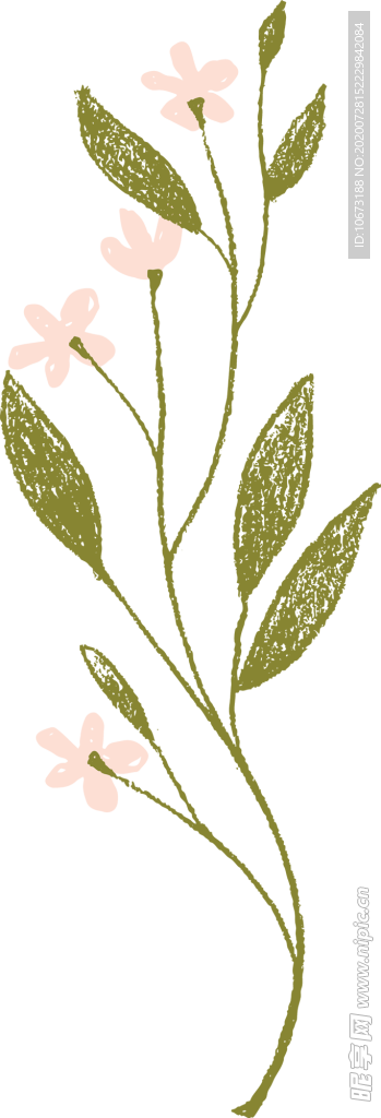 手绘植物