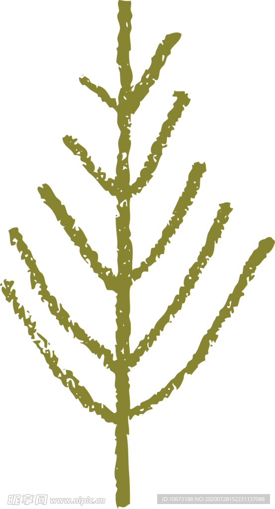 手绘植物