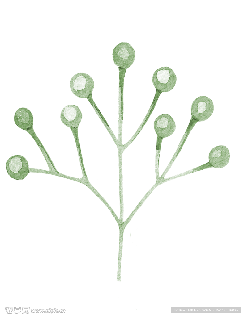 手绘植物