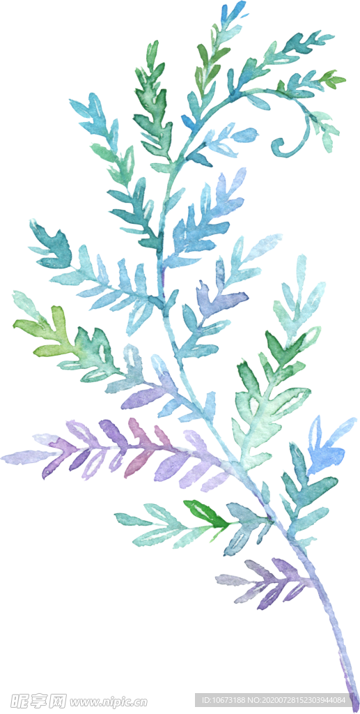 手绘植物