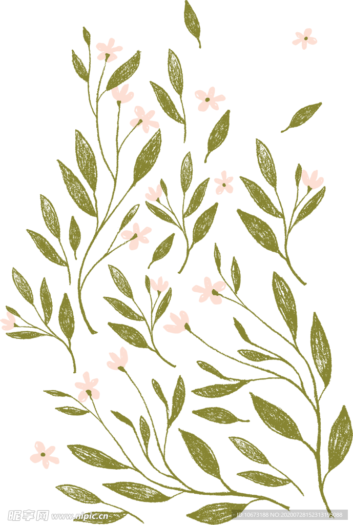 手绘植物
