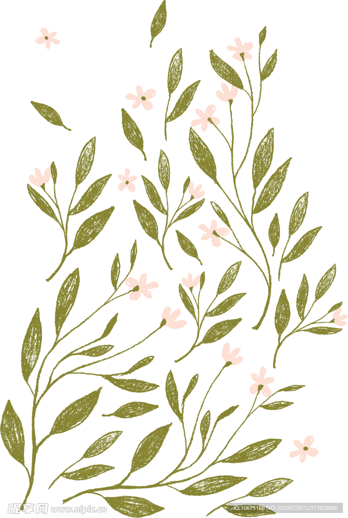 手绘植物