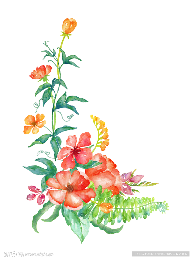 手绘植物