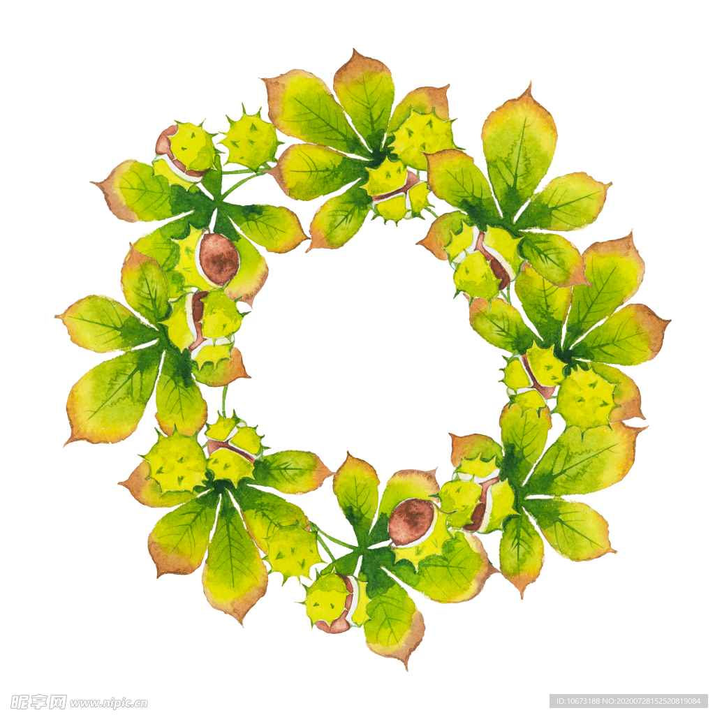 手绘植物