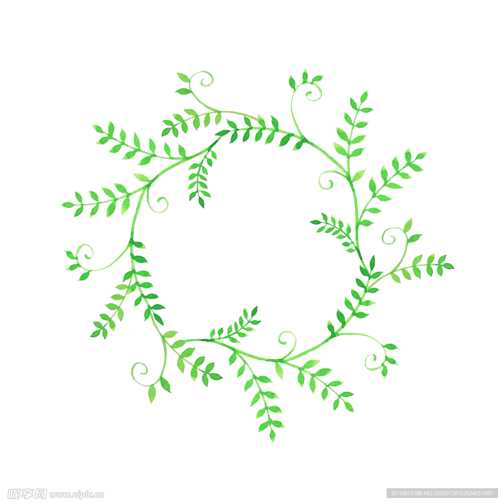 手绘植物