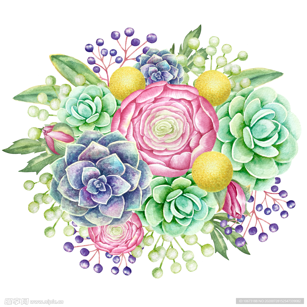 手绘植物