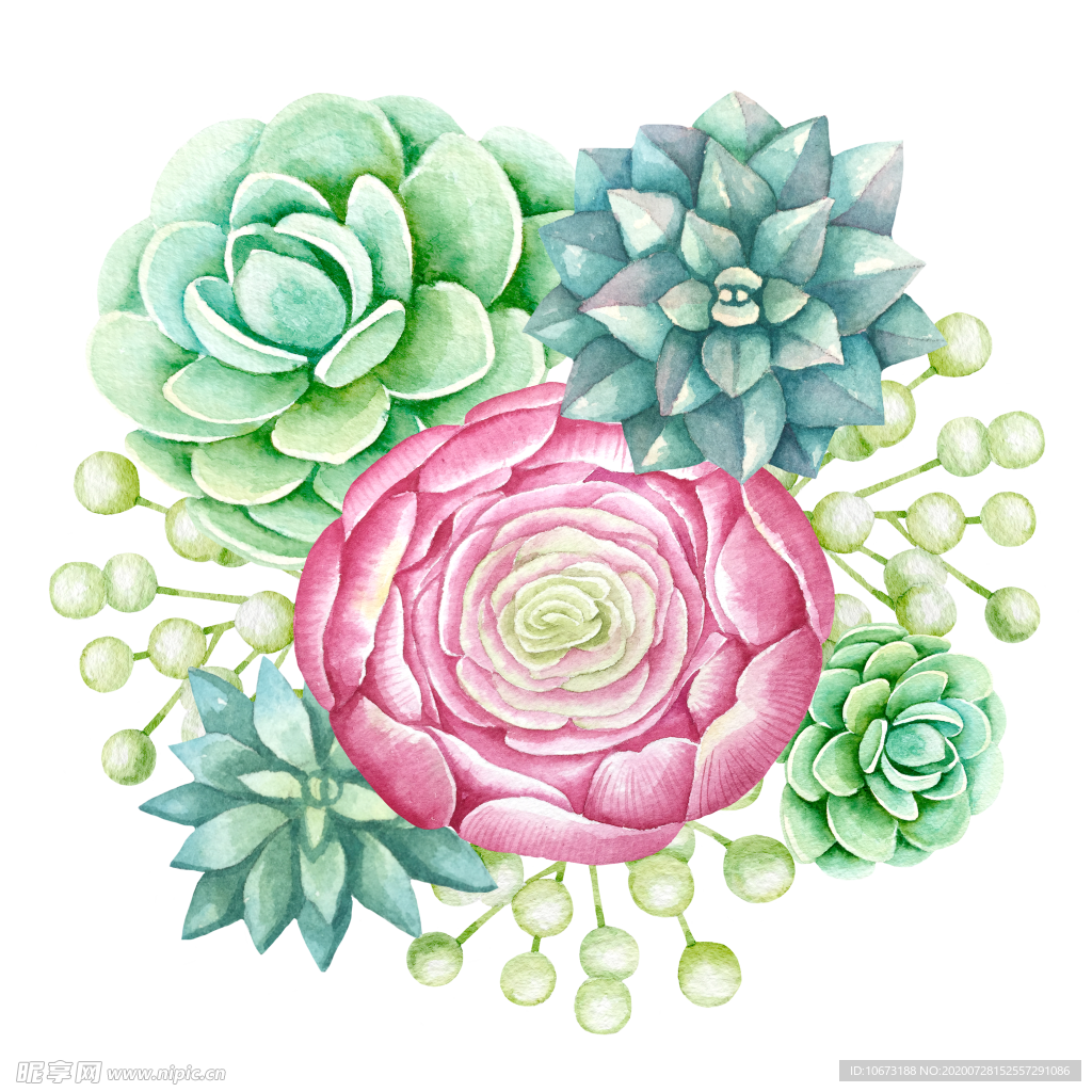 手绘植物