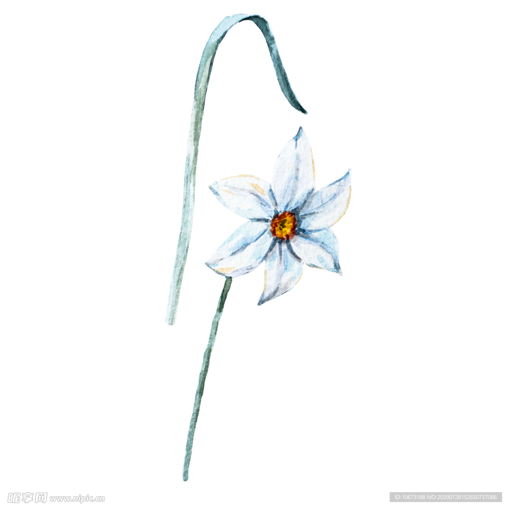 水彩植物