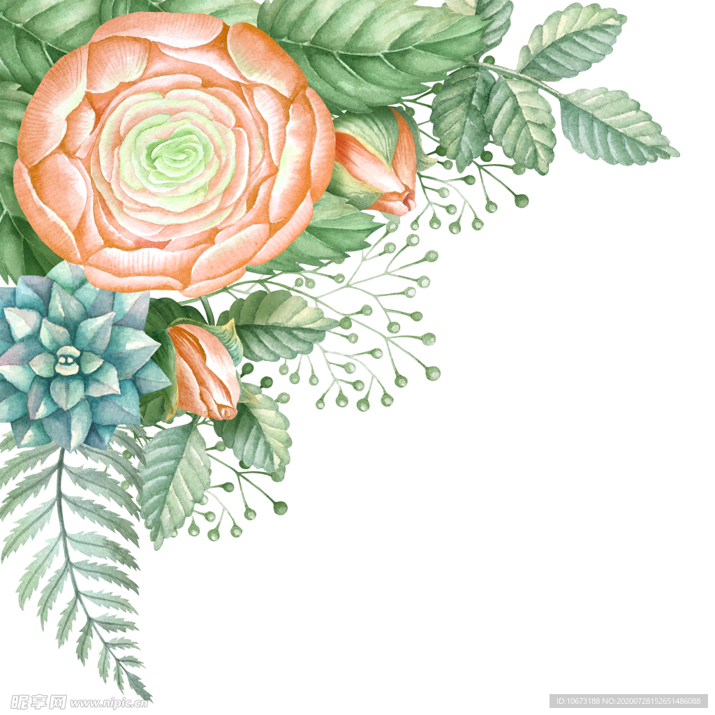 水彩植物