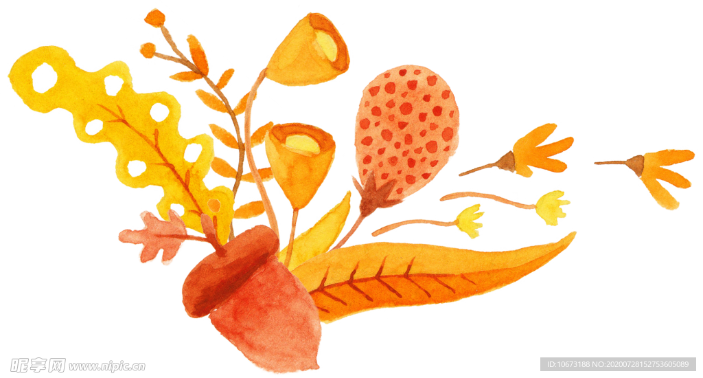 水彩植物
