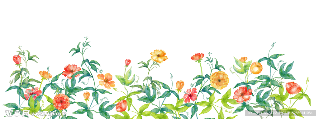 水彩植物