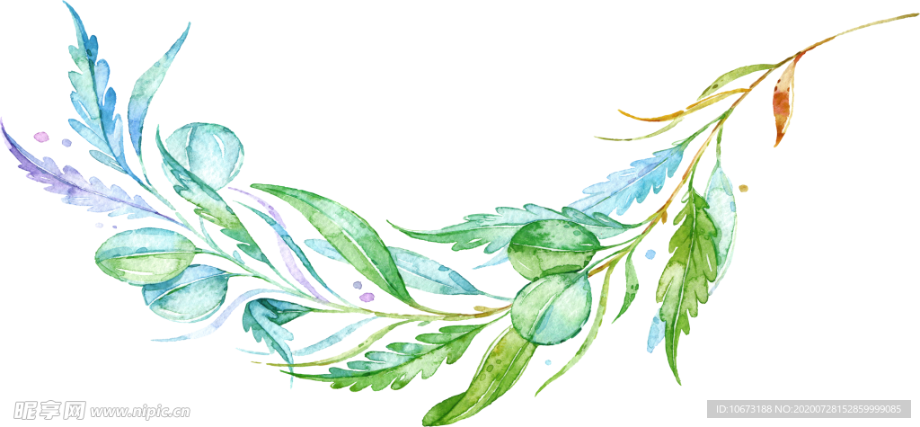 水彩植物