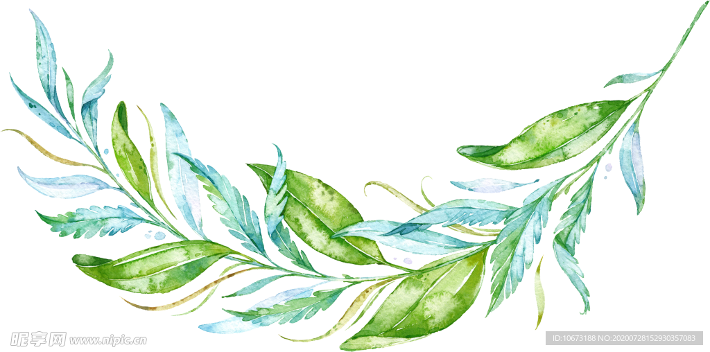 水彩植物